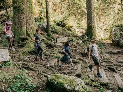 Gorski kotar, Divjake Log Home Kraljica gozda (Foto: CNTB)