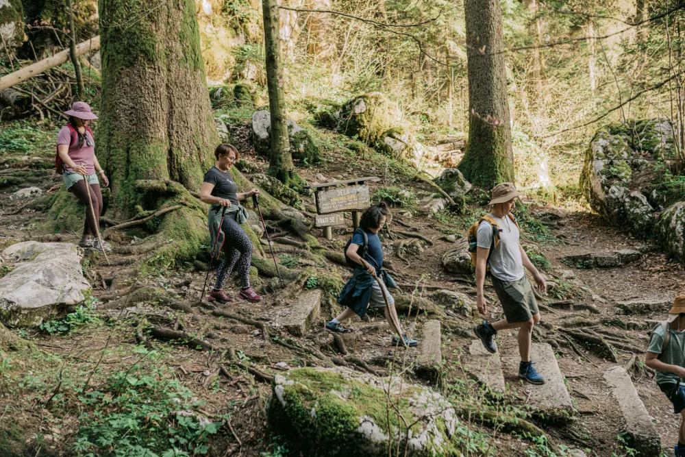 Gorski kotar, Divjake Log Home Kraljica gozda (Foto: CNTB)