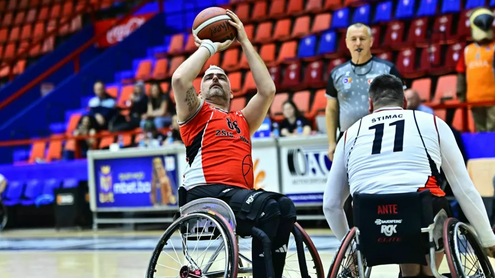 Milan Slapničar, ko&scaron;arka v vozičku