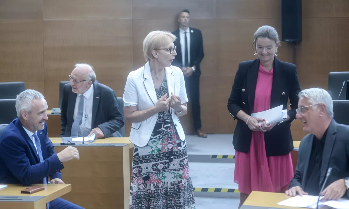 Z nekdanjo poslanko Vido Čadonič Špelič o delu v državnem zboru. V poslanskih klopeh je sedela v prvem sklicu leta 1993 in nato znova leta 2022.