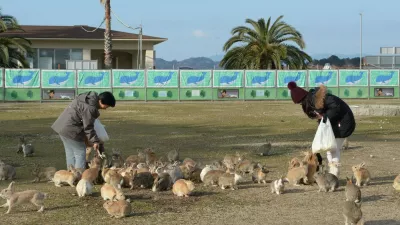Editorial use only. For use only in this story/Shutterstock (5657836g)Visitors to Rabbit Island feed resident rabbitsRabbit Island, Okunoshima, Japan - 2015FULL COPY: http://www.rexfeatures.com/nanolink/s8k5Photographer Michael Yang pays a visit to Okunoshima, a small island in Japan that is overrun with bunnies, giving it the nickname "Rabbit Island". Here he shares his experience:"No one really knows where the bunnies came from. Some people say that the bunnies were released after World War II from the poison gas factory located on the island. Others say that school children released their bunnies on the island. In any case, they have no natural predators on the island so they have overrun it.",Image: 282192542, License: Rights-managed, Restrictions: CREDIT: Michael Yang/Rex Shutterstock. Editorial use only. For use only in this story, Model Release: no 