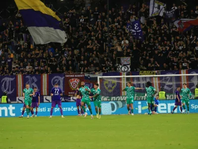 Maribor - Olimpija, Ljudski vrt / Foto: Andrej Petelin&scaron;ek, Večer