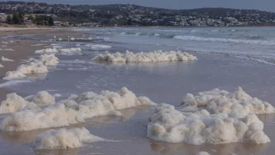 An algae bloom caused by Karenia mikimotoi off Brighton, South Australia, forming surface foam and harming marine life. This toxic algae depletes oxygen and can cause fish and invertebrate deaths, often turning the water reddish-brown during warm, nutrient-rich conditions.