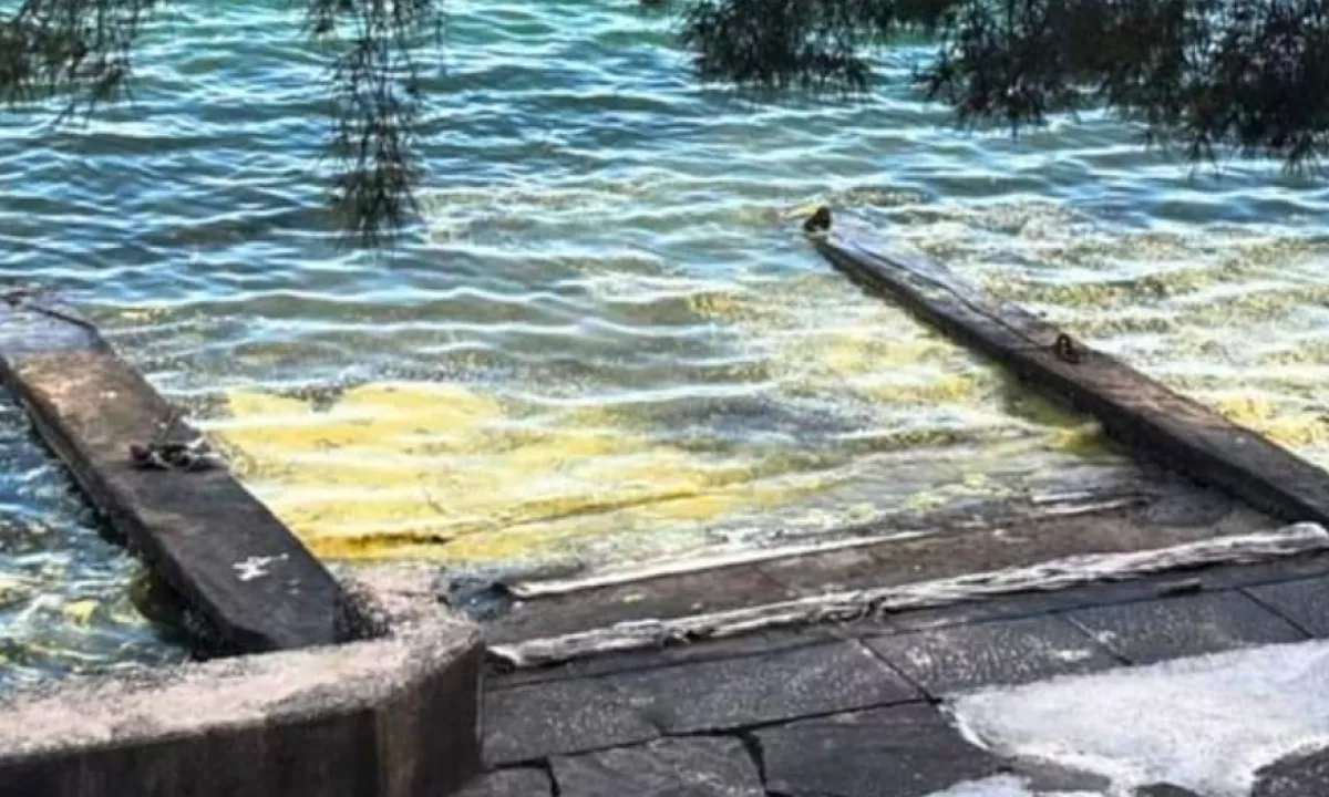 Znanstveniki zdaj pojasnjujejo, kaj je bil vzrok za ta pojav.