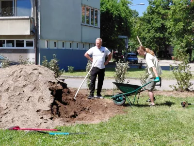 Članom dru&scaron;tva Zeleni nadzorniki so se pri saditvi dreves in urejanju okolice pridružili tudi stanovalci Majaronove.. Foto: Vesna Levičnik