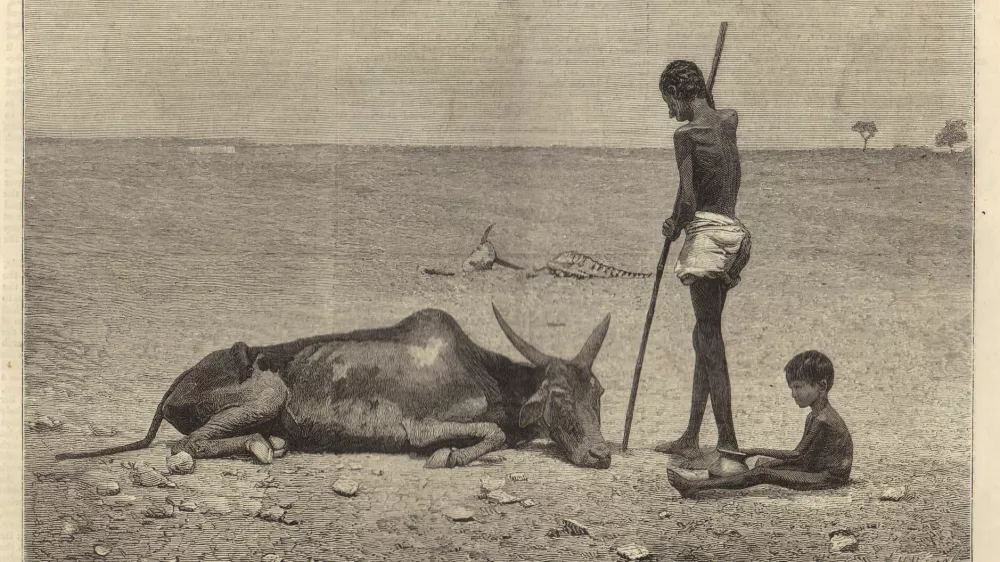 Ilustracija velike su&scaron;e med letoma 1876 in 1878 / Foto: Wikipedia