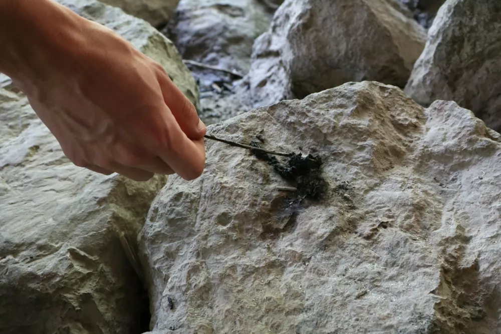 V iztrebkih vidre so opazne sledi lusk.