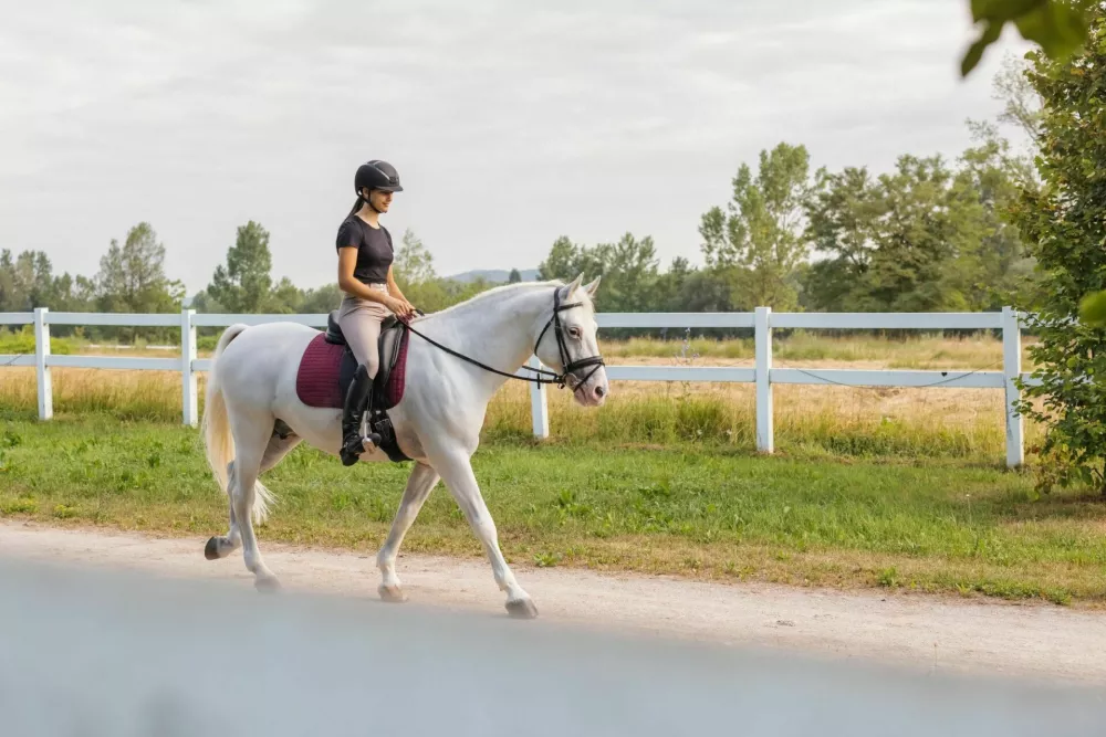 Girl in an equestrian outfit gently caressing her snow white horse during riding near the fields and wooden fence / Foto: 24k-production