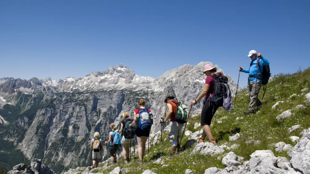 Za gozd je primerna drugačna obutev, kot pa je priporočljiva za gore. / Foto: Istock