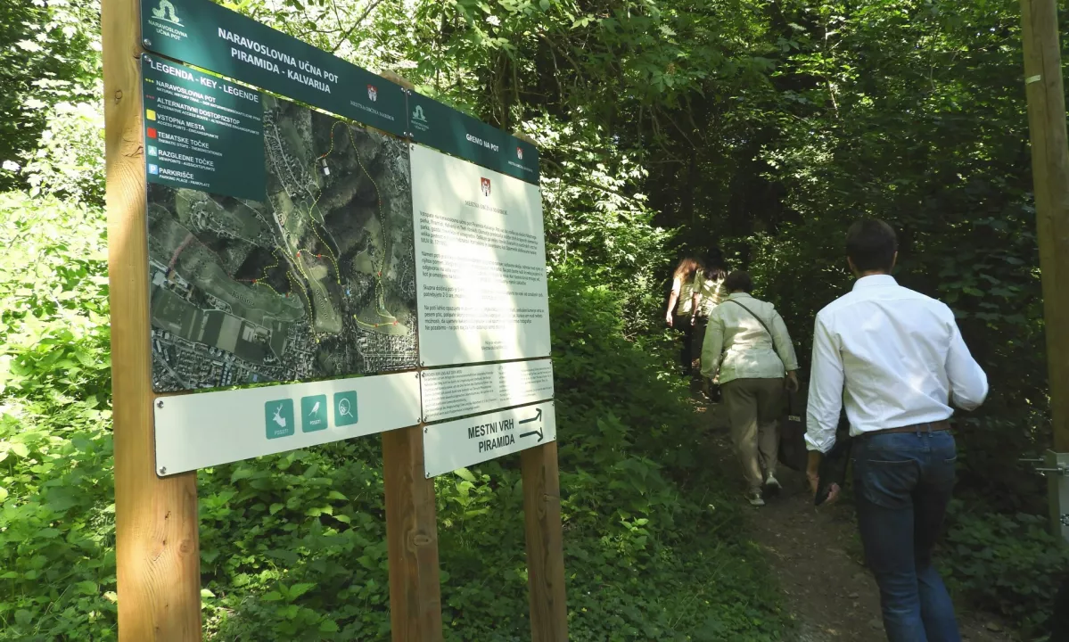 Zakaj ni vsak večji posek že golosek in ali je dobro, da kakšno odmrlo deblo v gozdu tudi pustimo? Preverite, ali so naše sodbe o gozdu in gozdarstvu pravilne ali so le plod čustev, nepoznavanja in stereotipov.