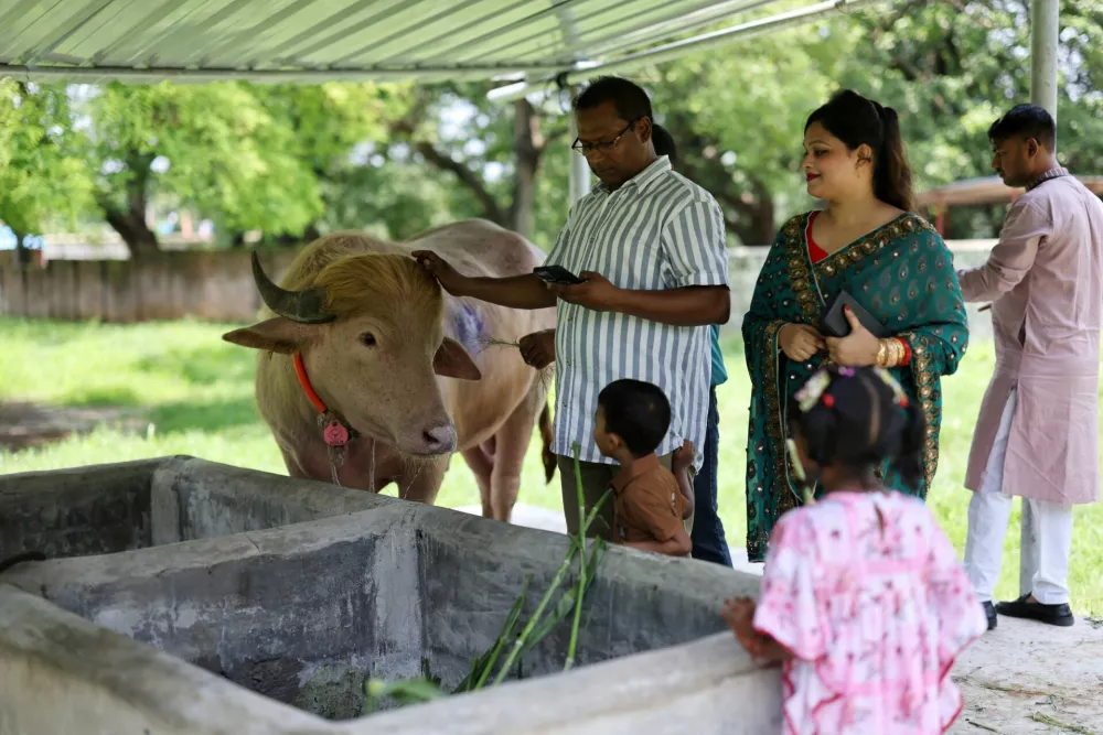 A zoo official and other visitors see an albino buffalo nicknamed after U.S. President Donald Trump that recently went viral and was spared from sacrifice ahead of Eid al-Adha, after it was moved to the Bangladesh National Zoo for public display, in Dhaka, Bangladesh, May 28, 2026. REUTERS/Mohammad Ponir Hossain