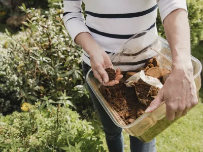 Kava je uporabna, toda pomembno je, na kak&scaron;en način jo na vrtu ali na balkonu uporabimo. / Foto: Istock