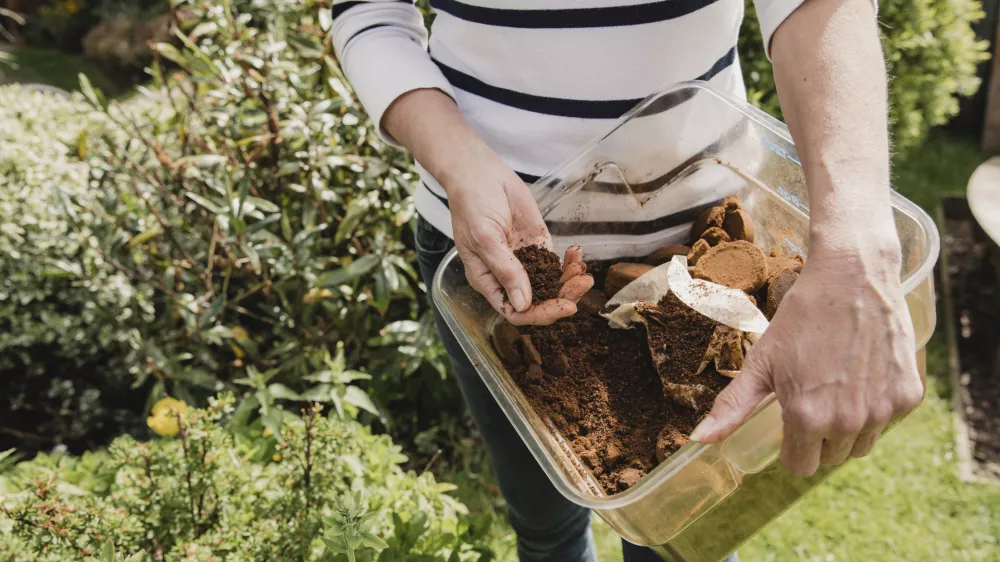 Kava je uporabna, toda pomembno je, na kak&scaron;en način jo na vrtu ali na balkonu uporabimo. / Foto: Istock