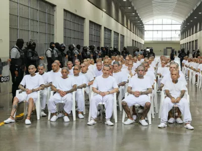 Foto: Profimedia