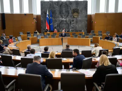 Izredna seja DZ, na kateri so med drugim obravnavali predlog sklepa o razpisu zakonodajnega referenduma o zakonu o interventnih ukrepih za razvoj Slovenije. Foto: STA
