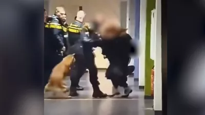 Trenutek, ko je policist za rokav prijel dekle in jo sunkovito vrgel na tla. / Foto: Zajem Zaslona