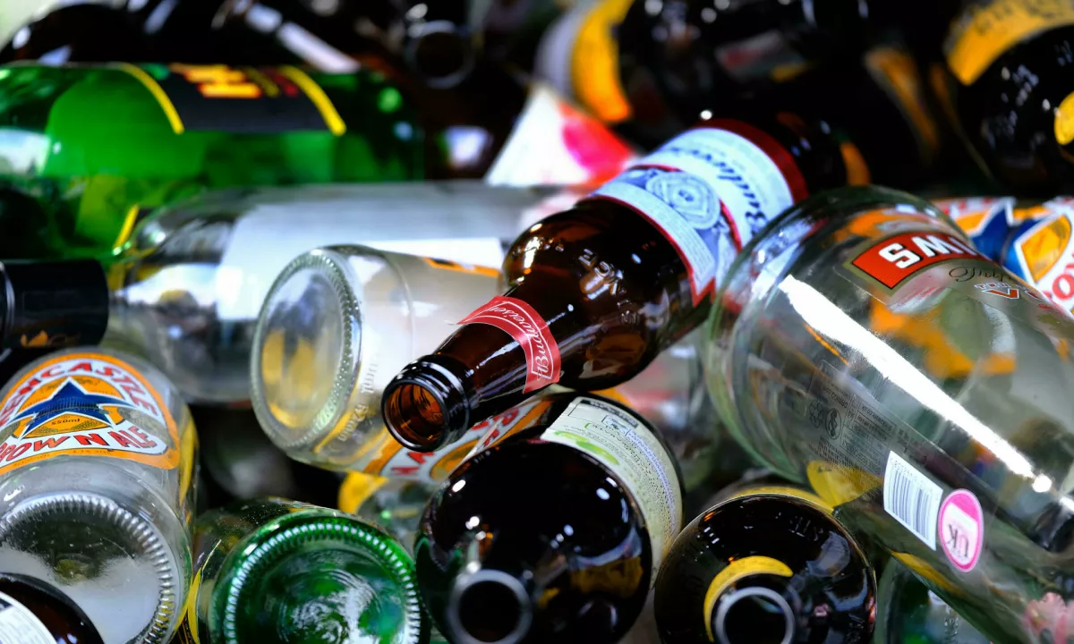 Mladostniki so za škodljive učinke alkohola posebej ranljivi zaradi razvijajočih se možganov.