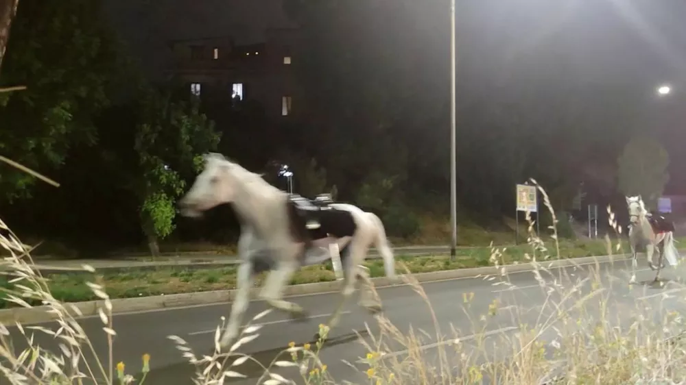 Horses on the loose gallop during the nighttime rehearsals for a parade to mark the 80th anniversary of the Italian Republic, in Rome, Italy, May 29, 2026, in this screengrab obtained from a social media video. Lucio Virzi Fotografo/via REUTERS THIS IMAGE HAS BEEN SUPPLIED BY A THIRD PARTY. MANDATORY CREDIT. NO RESALES. NO ARCHIVES. VERIFICATION: Reuters verified the location from the traffic lights, poles, trees and street layout seen in the video which matched file and satellite imagery of the area. Coordinates: 41.845917, 12.478861. The date was confirmed by the metadata on the original file. / Foto: Lucio Virzi Fotografo