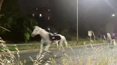 Horses on the loose gallop during the nighttime rehearsals for a parade to mark the 80th anniversary of the Italian Republic, in Rome, Italy, May 29, 2026, in this screengrab obtained from a social media video. Lucio Virzi Fotografo/via REUTERS THIS IMAGE HAS BEEN SUPPLIED BY A THIRD PARTY. MANDATORY CREDIT. NO RESALES. NO ARCHIVES. VERIFICATION: Reuters verified the location from the traffic lights, poles, trees and street layout seen in the video which matched file and satellite imagery of the area. Coordinates: 41.845917, 12.478861. The date was confirmed by the metadata on the original file. / Foto: Lucio Virzi Fotografo