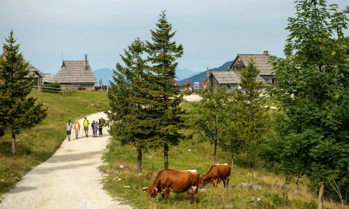 Ob začetku nove turistične sezone smo se pogovarjali z županom Kamnika Matejem Slaparjem.
