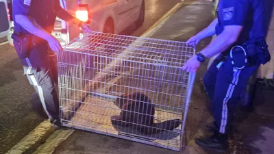 Bober zalutal v garažo in sprožil obsežno reševalno akcijo