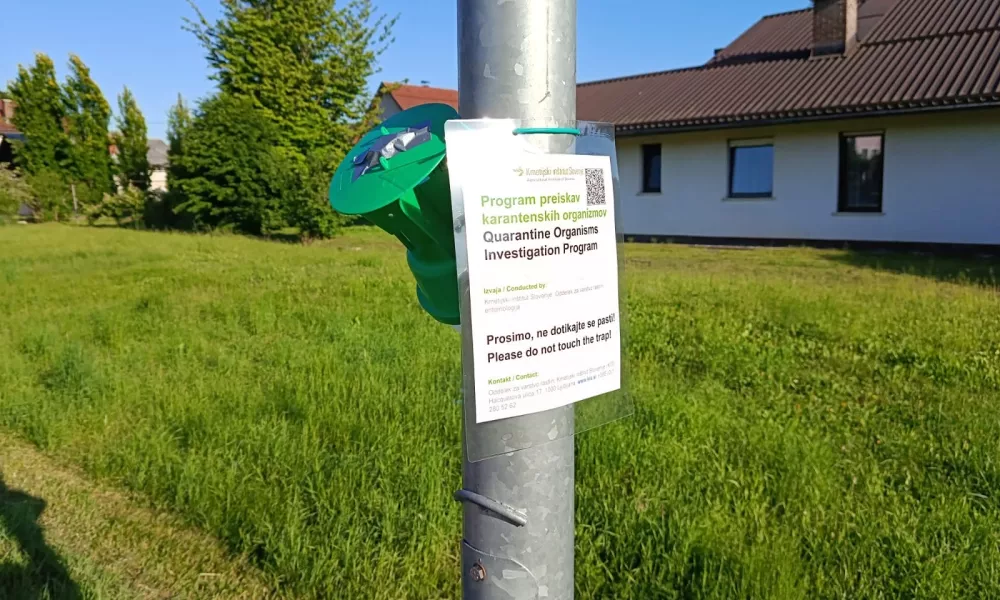 Čemu so namenjene pasti po ljubljanskih parkih?