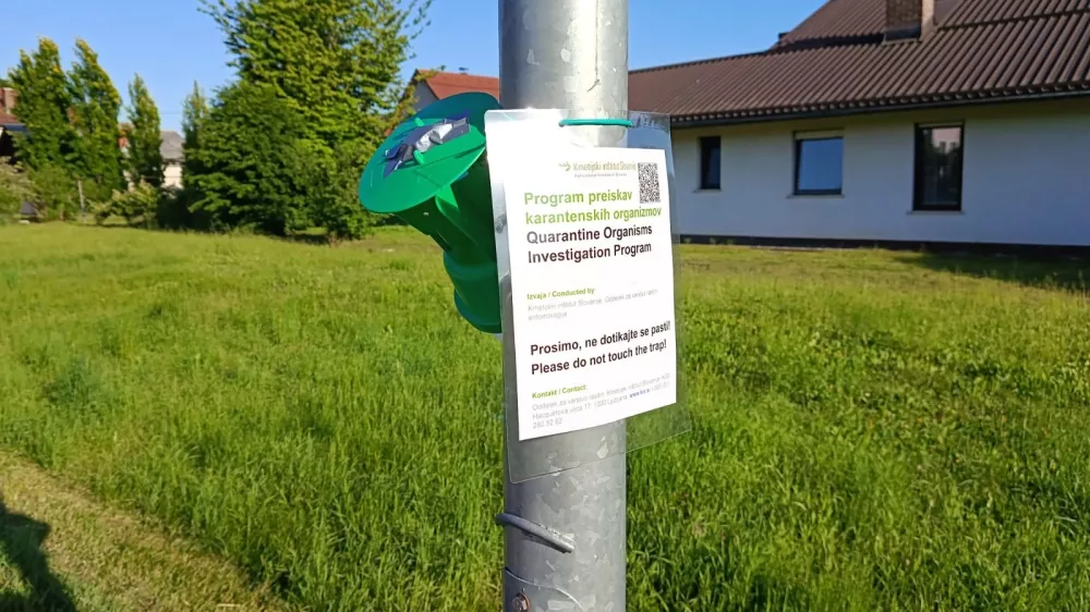 Čemu so namenjene pasti po ljubljanskih parkih?