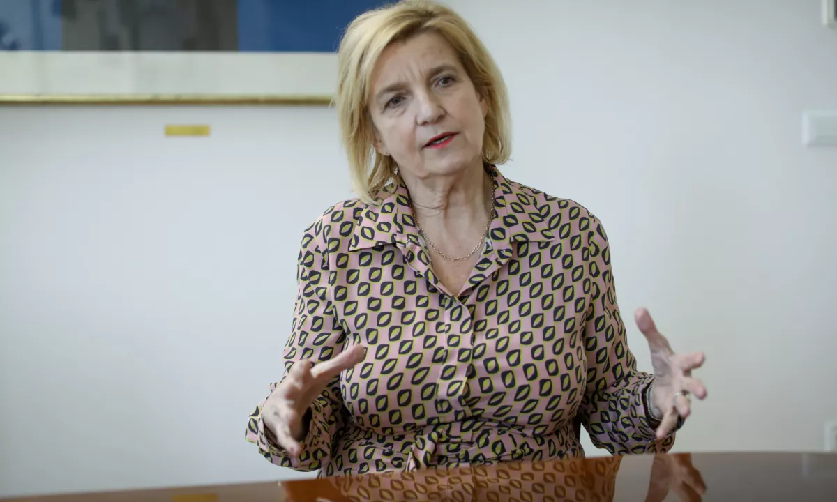Hitro in bistveno se lahko spreminjajo virusi gripe in koron