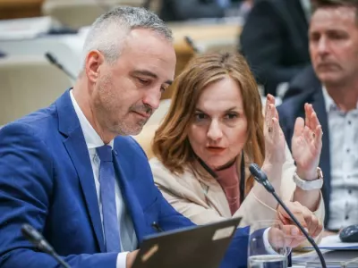 Mojca Erjavec, Janez Cigler Kralj, NSi