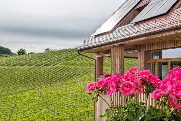 Vino in turizem Valdhuber