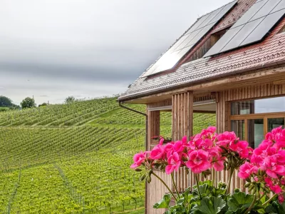 Vino in turizem Valdhuber