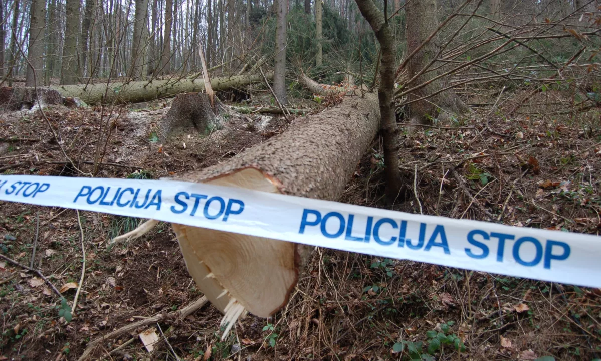 Ljubljansko sodišče je končalo sodno preiskavo brutalne ugrabitve, njihovi kolegi z vrhovnega sodišča pa so zoper dva obdolžena pripor podaljšali do konca junija.