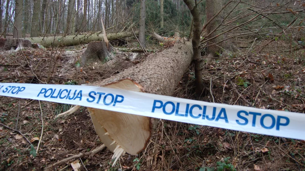 Na obrobju Ljubljane: v avtu na&scaron;li čevelj ugrabljenega