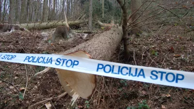 Končali preiskavo brutalne ugrabitve: Na obrobju Ljubljane v avtu našli čevelj žrtve