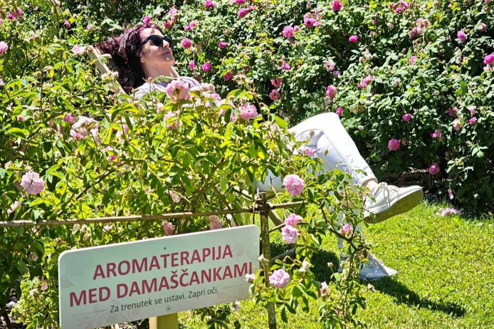 Veliko zanimanja je pritegnil tudi prostor za sprostitev med dama&scaron;čankami, kjer se obiskovalci za nekaj trenutkov umaknejo od vsakdanjega tempa Foto: Arboretum Volčji Potok