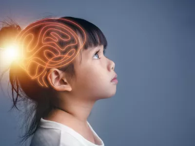 Možgani so čudoviti sistem, brez katerega nas ne bi bilo. / Foto: Istock