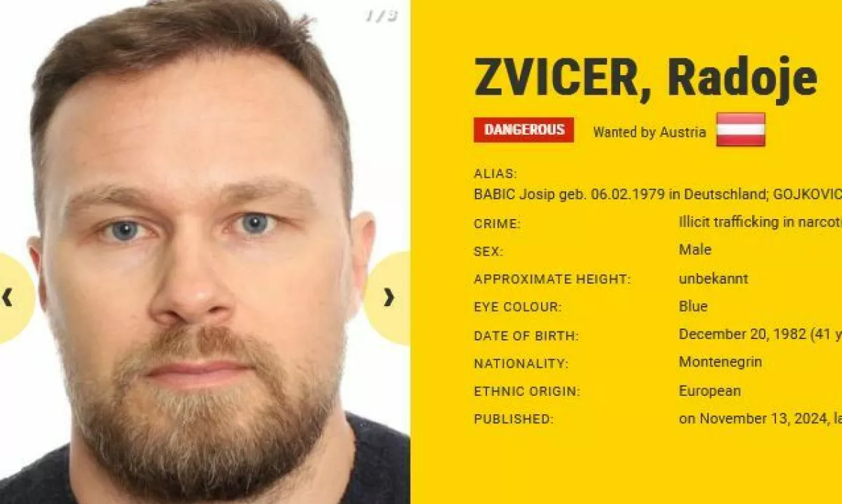 Kdo je človek, zaradi katerega so Vučiću odsvetovali obisk Črne gore?