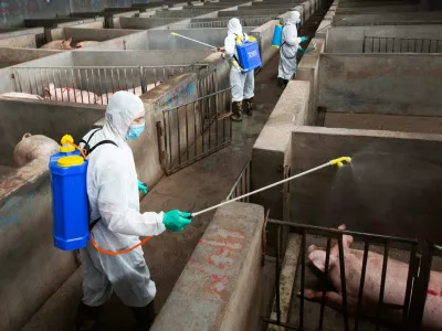 Local husbandry and veterinary bureau workers in protective suits disinfect a pig farm as a prevention measure for African swine fever, in Jinhua, Zhejiang province, China August 22, 2018. Picture taken August 22, 2018. REUTERS/Stringer ATTENTION EDITORS - THIS IMAGE WAS PROVIDED BY A THIRD PARTY. CHINA OUT.