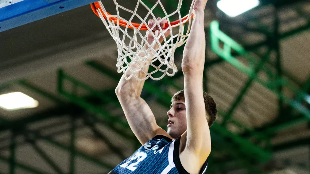 Stefan Joksimović, Slovenija, Če&scaron;ka