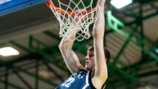 Stefan Joksimović, Slovenija, Če&scaron;ka