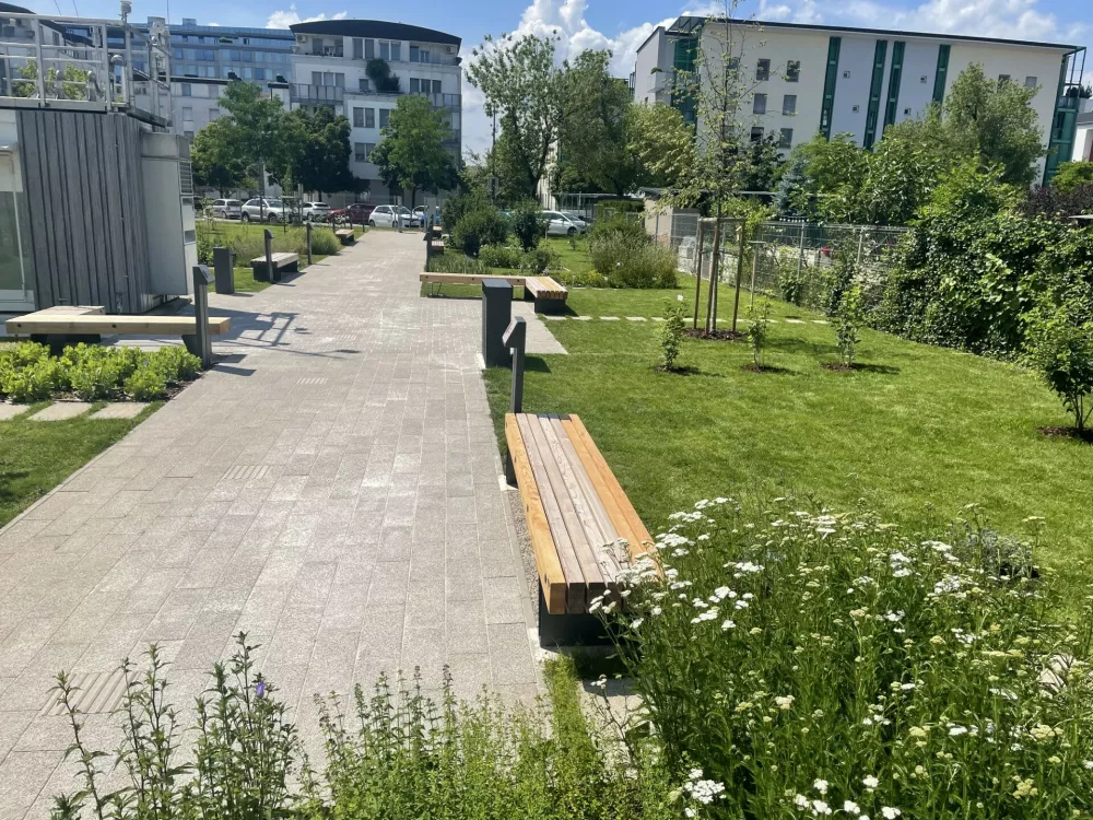 Arso, fenolo&scaron;ki park, podnebje, okolje