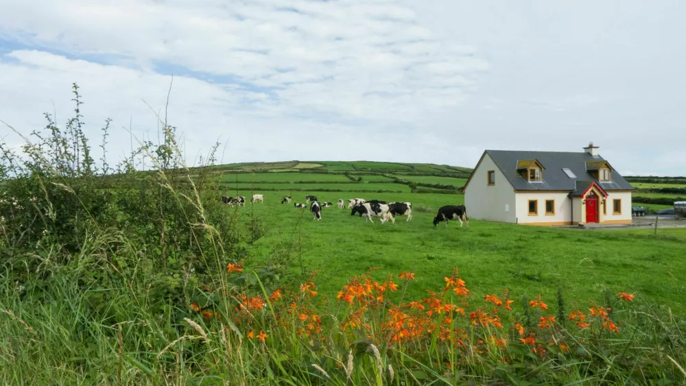 Meadow with cabin and farm animals / Foto: Liorpt