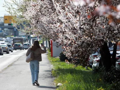 24.03.2026 -simbolična fotografija - pomlad, VičFoto: Tomaž Skal / Foto: Tomaž Skale