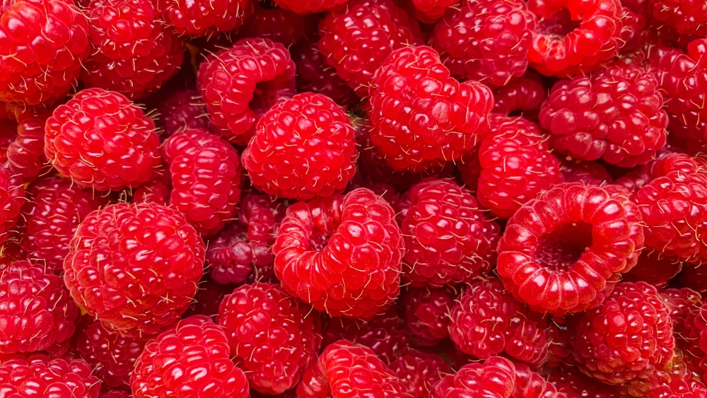 / Foto: iStock