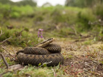 / Foto: iStock