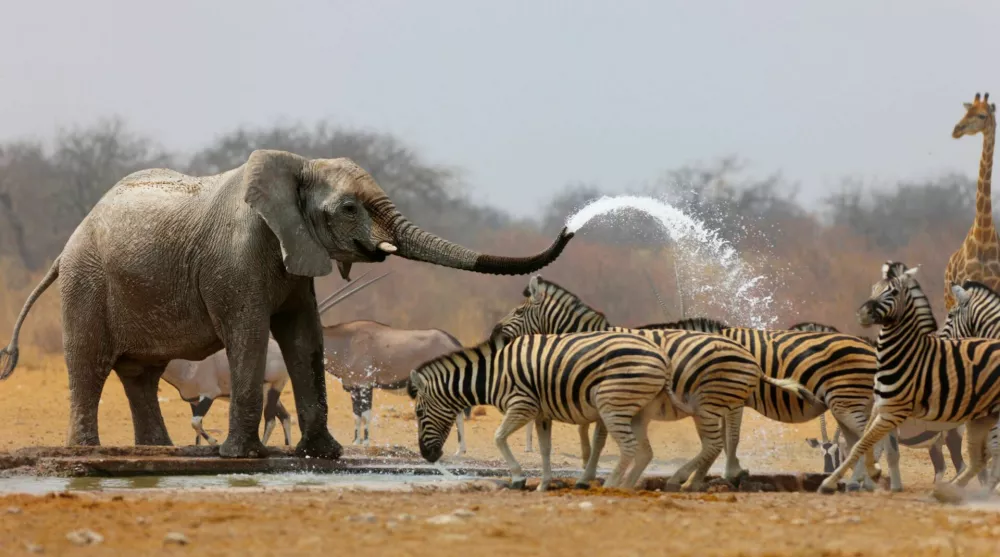 / Foto: iStock