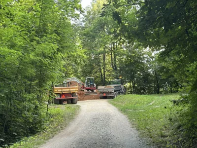 Dela na Rožniku
