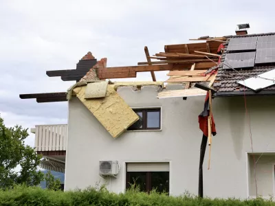 Vrednost &scaron;kod v desetletju narasla za četrtino