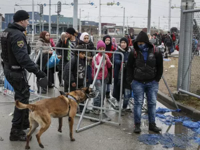 - 17.02.2016 - Železni&scaron;ka postaja Dobova - - Begunci 2016 - migracije po zahodni balkanski poti - migracijska pot beguncev iz Sirije, Afganistana in Iraka čez Balkan proti zahodni Evropi - evropska begunska kriza - migranti   ///FOTO: Luka Cjuha.