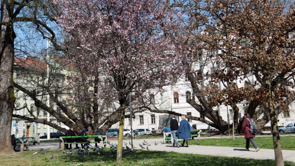 24.03.2026 -simbolična fotografija - pomla, Miklo&scaron;ičev parkFoto: Tomaž Skal